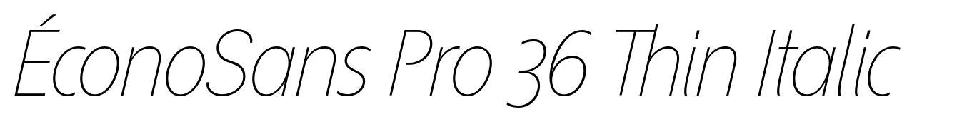 ÉconoSans Pro 36 Thin Italic